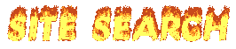 SITE SEARCH